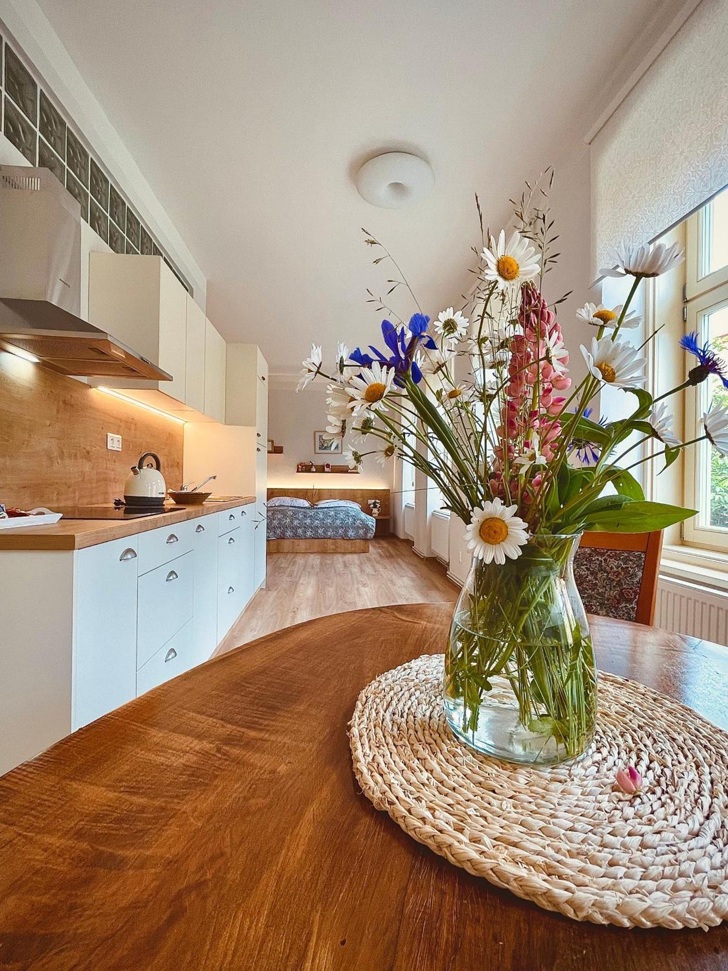 Apartmany Basta & Wellness Sušice Exteriör bild