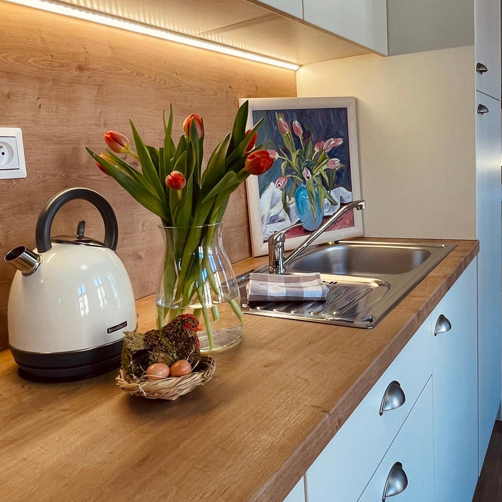 Apartmany Basta & Wellness Sušice Exteriör bild